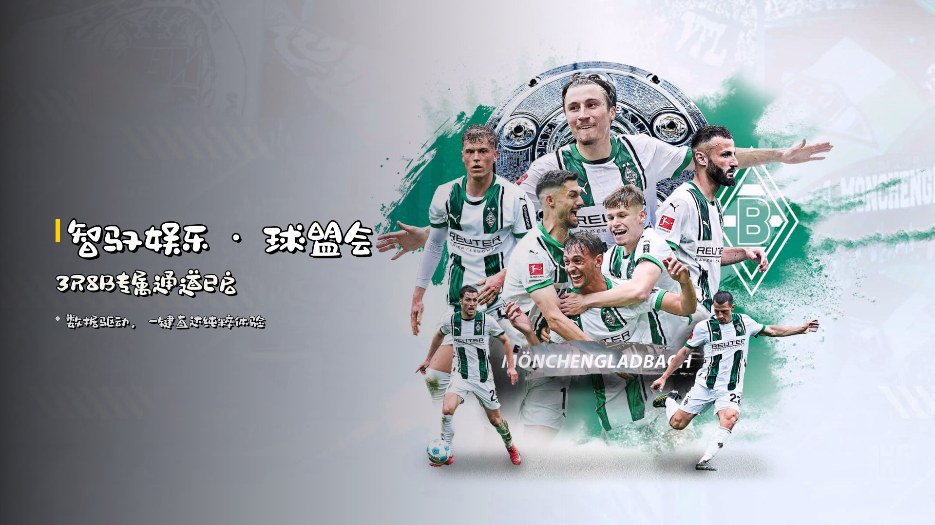 <strong>智驭娱乐</strong> · 球盟会3R8B专属通道已启